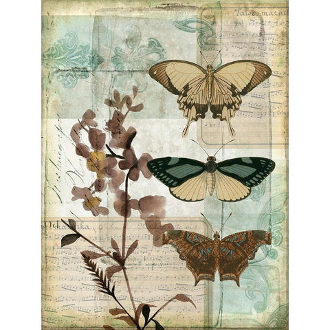 Music Box Butterflies II White Modern Wood Framed Art Print by Goldberger, Jennifer