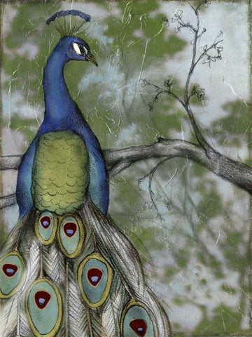 Peacock Reflections II Black Ornate Wood Framed Art Print with Double Matting by Goldberger, Jennifer