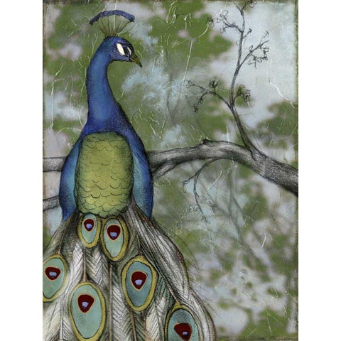 Peacock Reflections II Black Modern Wood Framed Art Print with Double Matting by Goldberger, Jennifer