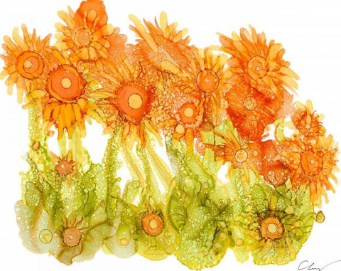 Sunlit Poppies I White Modern Wood Framed Art Print with Double Matting by Baynes, Cheryl