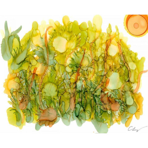 Sunlit Poppies IV Black Modern Wood Framed Art Print by Baynes, Cheryl