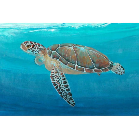 Ocean Sea Turtle II Black Modern Wood Framed Art Print with Double Matting by OToole, Tim