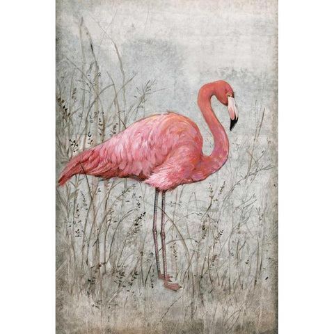 American Flamingo I Black Modern Wood Framed Art Print by OToole, Tim
