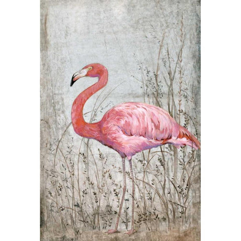 American Flamingo II White Modern Wood Framed Art Print by OToole, Tim