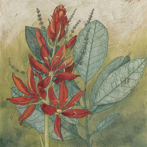 Crimson Tropical I Black Ornate Wood Framed Art Print with Double Matting by Meagher, Megan