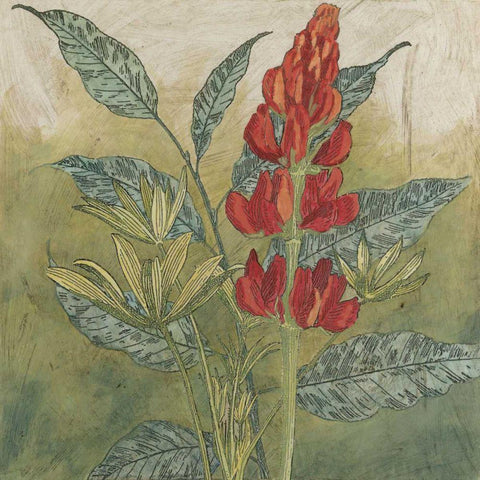 Crimson Tropical II Black Ornate Wood Framed Art Print with Double Matting by Meagher, Megan