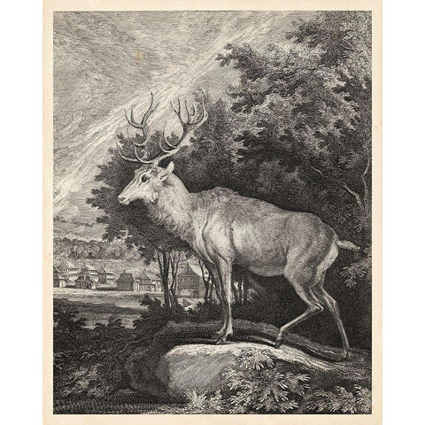 Woodland Deer II Gold Ornate Wood Framed Art Print with Double Matting by Ridinger