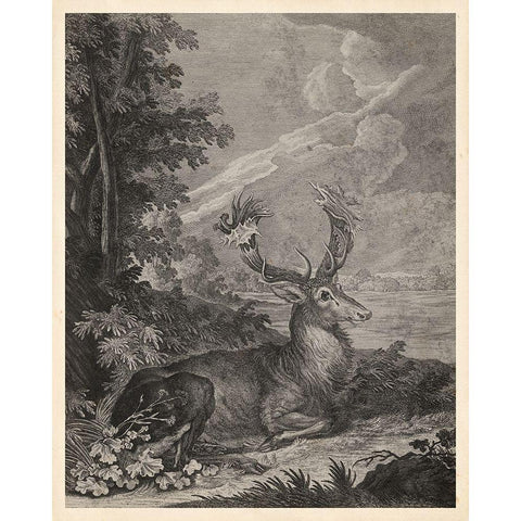 Woodland Deer III Gold Ornate Wood Framed Art Print with Double Matting by Ridinger