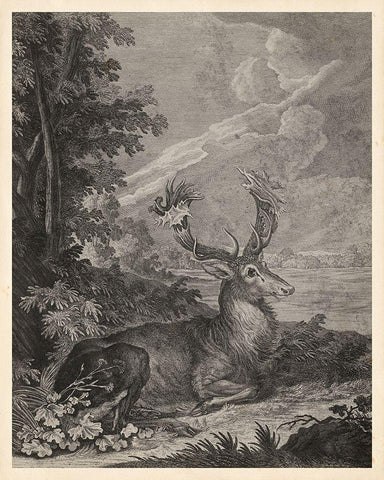Woodland Deer III Black Ornate Wood Framed Art Print with Double Matting by Ridinger