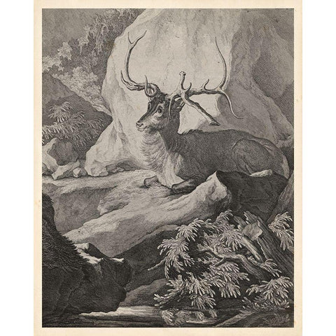 Woodland Deer VIII Black Modern Wood Framed Art Print with Double Matting by Ridinger