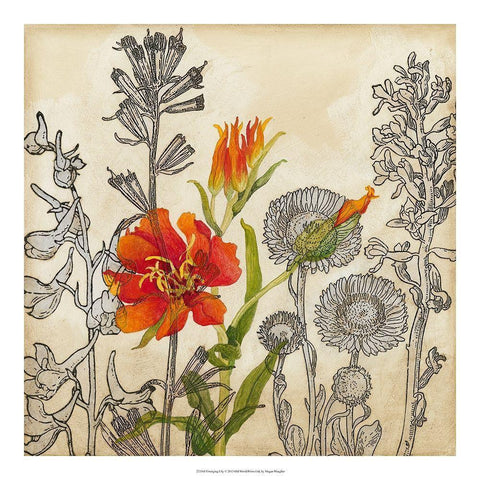 Emerging Lily Black Modern Wood Framed Art Print by Meagher, Megan