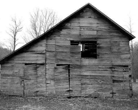 Weather Worn III Black Ornate Wood Framed Art Print with Double Matting by Ludwig, Alicia