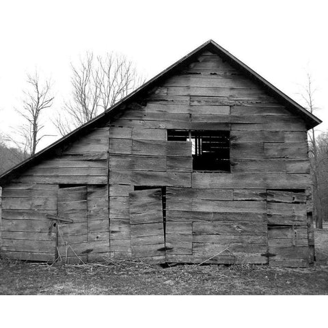 Weather Worn III Black Modern Wood Framed Art Print with Double Matting by Ludwig, Alicia