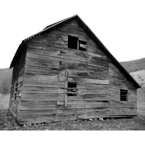 Weather Worn IV White Modern Wood Framed Art Print by Ludwig, Alicia