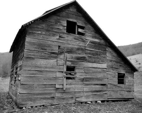 Weather Worn IV White Modern Wood Framed Art Print with Double Matting by Ludwig, Alicia