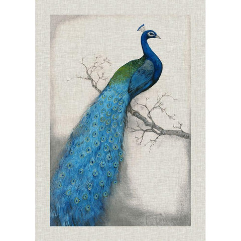 Custom Peacock Blue I (ASH) White Modern Wood Framed Art Print by OToole, Tim