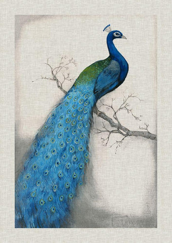 Custom Peacock Blue I (ASH) Black Ornate Wood Framed Art Print with Double Matting by OToole, Tim