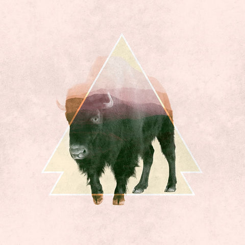 Bison Double Exposure Wildlife Art Black Ornate Wood Framed Art Print with Double Matting by Circle Art Group