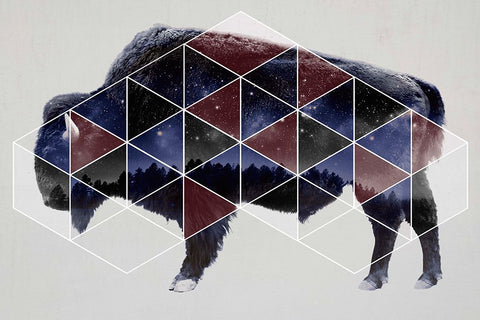 Bison Double Exposure Wildlife Art II White Modern Wood Framed Art Print with Double Matting by Circle Art Group