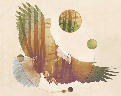 Double Exposure Wildlife Art - Eagle White Modern Wood Framed Art Print with Double Matting by Circle Art Group