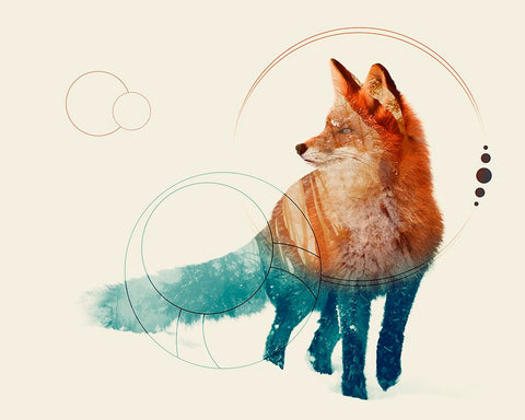 Fox Double Exposure Wildlife Art II Black Modern Wood Framed Art Print by Circle Art Group