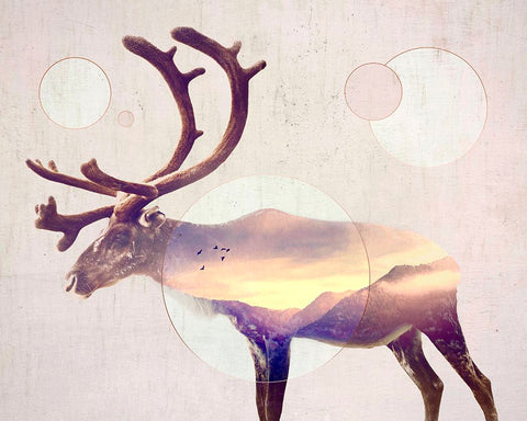 Double Exposure Wildlife Art - Reindeer Black Ornate Wood Framed Art Print with Double Matting by Circle Art Group