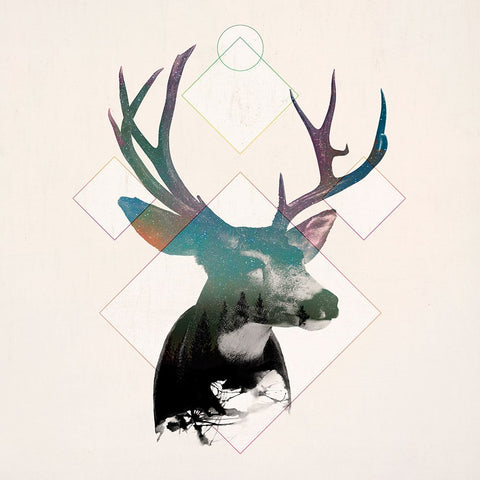 Stag Double Exposure Wildlife Art I White Modern Wood Framed Art Print with Double Matting by Circle Art Group