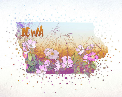 Iowa State Flower (Wild Rose) White Modern Wood Framed Art Print with Double Matting by Inner Circle