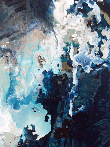 Deep Blue Pool Crop Black Ornate Wood Framed Art Print with Double Matting by Taylor, Kari