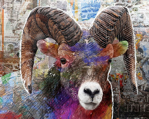 Pop Art - Ram White Modern Wood Framed Art Print with Double Matting by Inner Circle