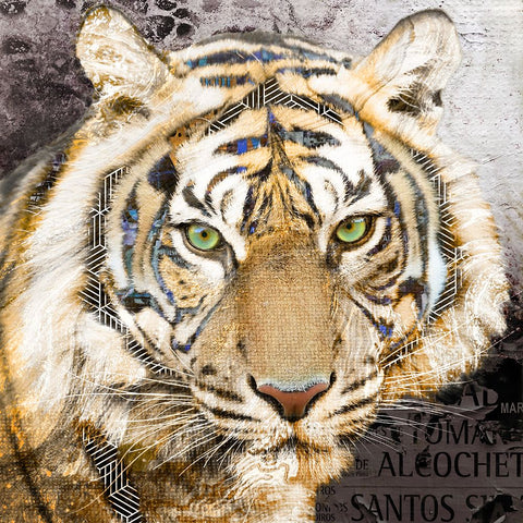 Pop Art - Tiger Black Ornate Wood Framed Art Print with Double Matting by Inner Circle