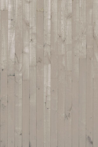 Coastal Christmas Collection D White Modern Wood Framed Art Print with Double Matting by Vision Studio