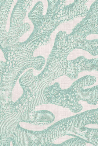 Coastal Christmas Collection F White Modern Wood Framed Art Print with Double Matting by Vision Studio