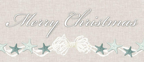 Coastal Christmas Collection H Black Ornate Wood Framed Art Print with Double Matting by Vision Studio