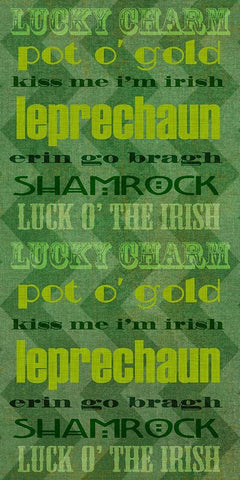 St. Pattys Collection B Black Ornate Wood Framed Art Print with Double Matting by Vision Studio