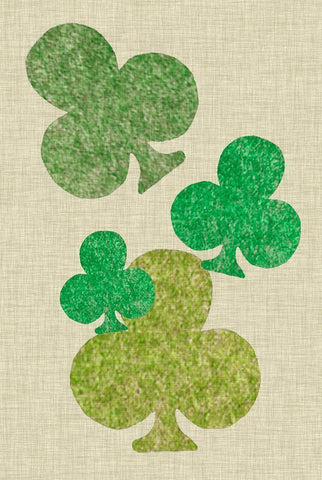 St. Pattys Collection F White Modern Wood Framed Art Print with Double Matting by Vision Studio