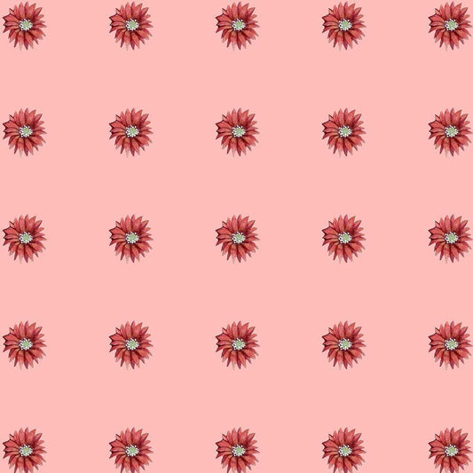 Image Only