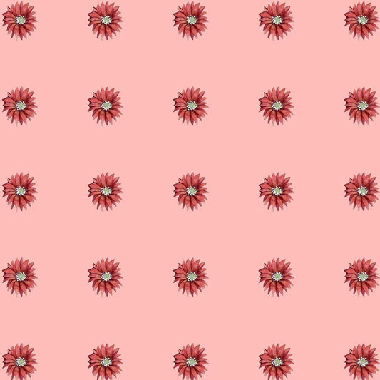 Image Only