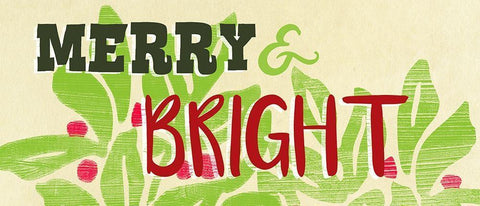 Lets Get Jolly Collection D White Modern Wood Framed Art Print with Double Matting by Vess, June Erica