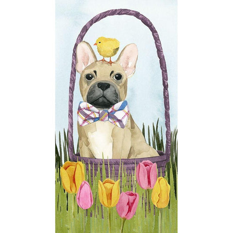 Puppy Easter Collection B White Modern Wood Framed Art Print by Popp, Grace