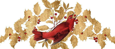 Red Bird Christmas Collection D White Modern Wood Framed Art Print with Double Matting by Studio W