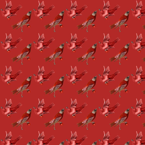 Red Bird Christmas Collection I White Modern Wood Framed Art Print with Double Matting by Studio W