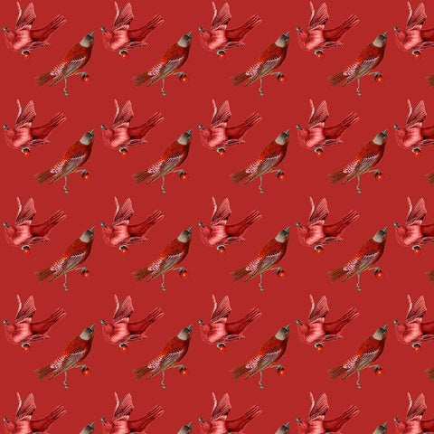 Red Bird Christmas Collection I Black Modern Wood Framed Art Print with Double Matting by Studio W