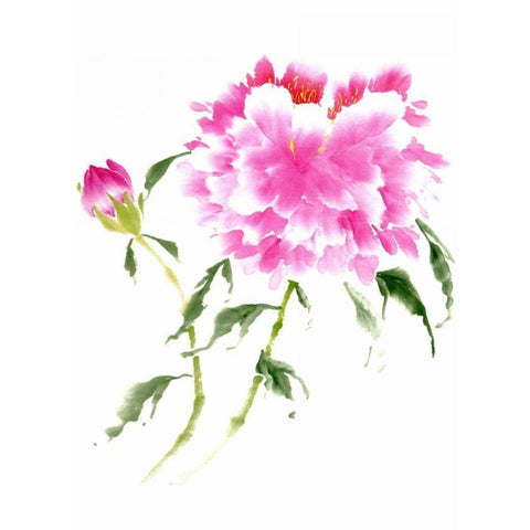 Peonies in Pink II Gold Ornate Wood Framed Art Print with Double Matting by Parker, Nan Rae