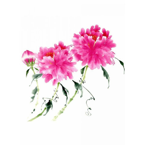 Peonies in Pink III White Modern Wood Framed Art Print by Parker, Nan Rae