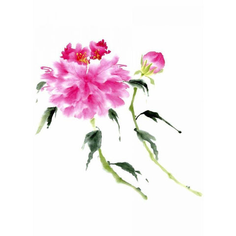 Peonies in Pink IV Black Modern Wood Framed Art Print by Parker, Nan Rae