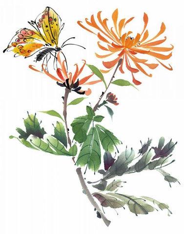 Summer Rapture I White Modern Wood Framed Art Print with Double Matting by Parker, Nan Rae