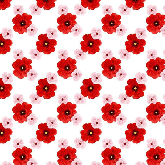 Image Only