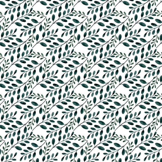 Image Only
