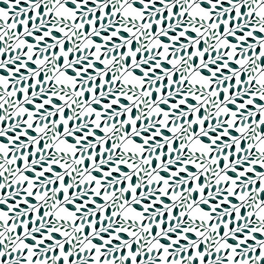 Image Only